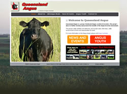 Queensland Angus - pjWaters Web Design