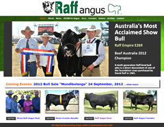 Raff Angus Queensland  - pjWaters Web Design